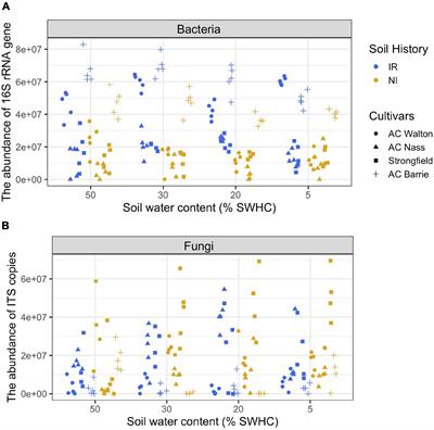 Relative and Quantitative Rhizosphere Microbiome Profiling Results in Distinct Abundance Patterns